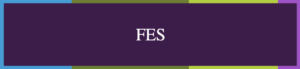FES arkusz kalkulacyjny do pobrania